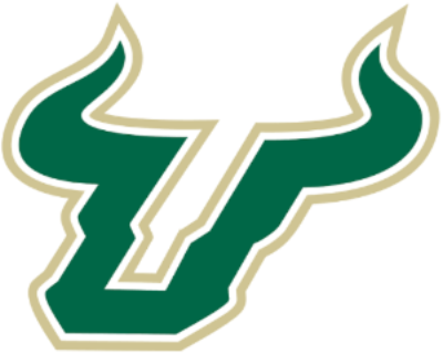 GO BULLS